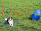 Preview: Agility Dog Trainings Set X für Hunde